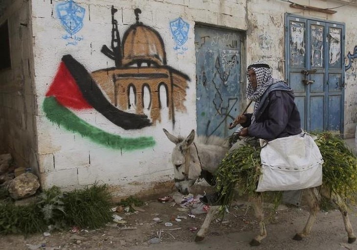 Arab League optimistic over UN Palestine resolution - ảnh 1